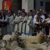 Opening sheep grazing season - traditional pastoral event in Ludzimierz  